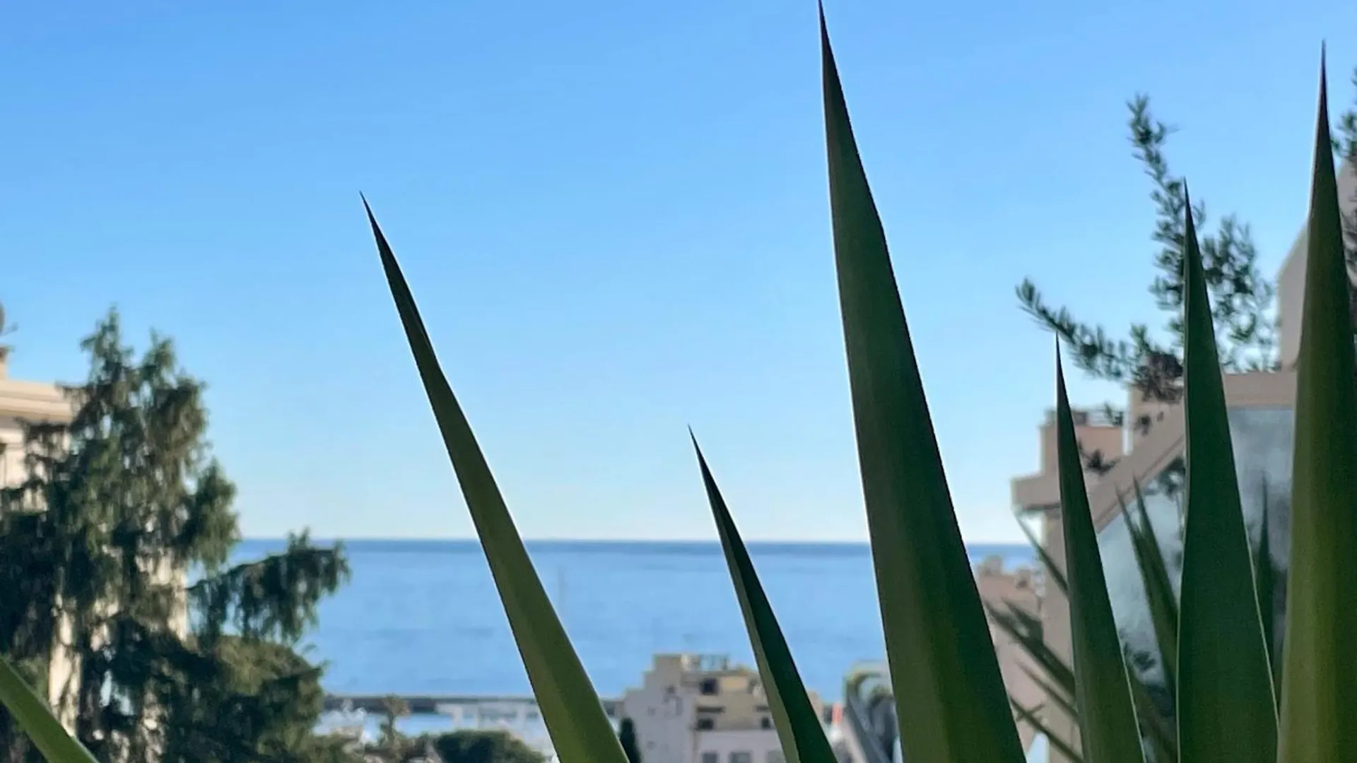 Luxury Top Floor Apartment With Terrace - Beaulieu Sur Mer France